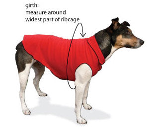 Girth Measurement Rain Paw Dog Coat