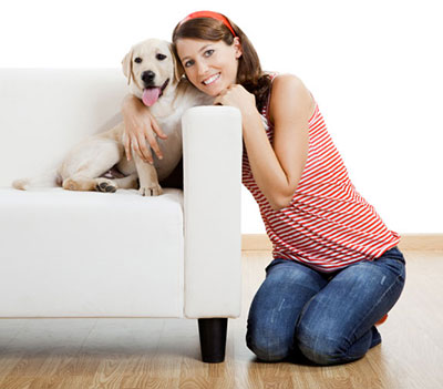 Tips For Dog Owners Searching For An Apartment