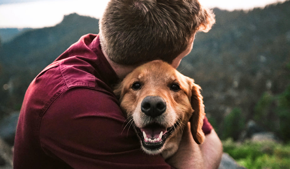 Dog Hug