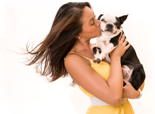 6 Ways To Lower Your Veterinary Bills