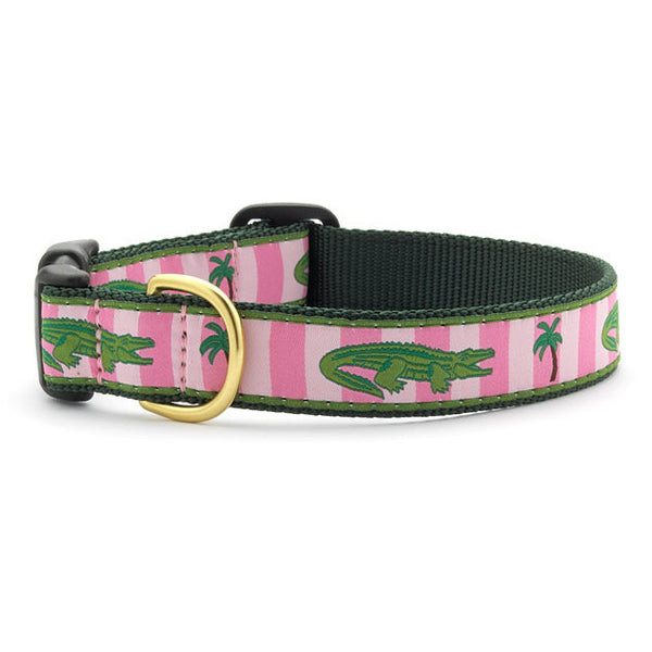 Up Country Alligators Dog Collar | PupLife Dog Supplies