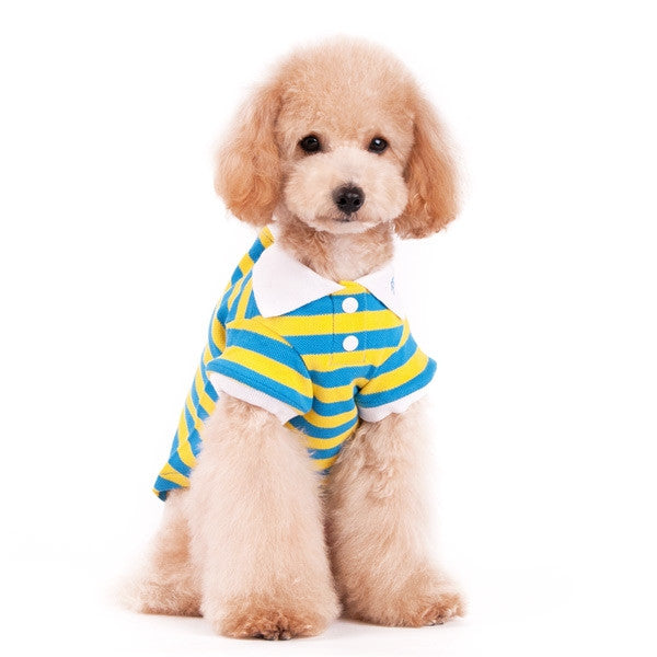 polo dog clothes