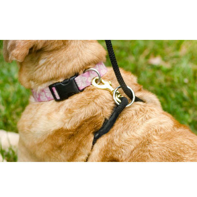 walkie dog leash