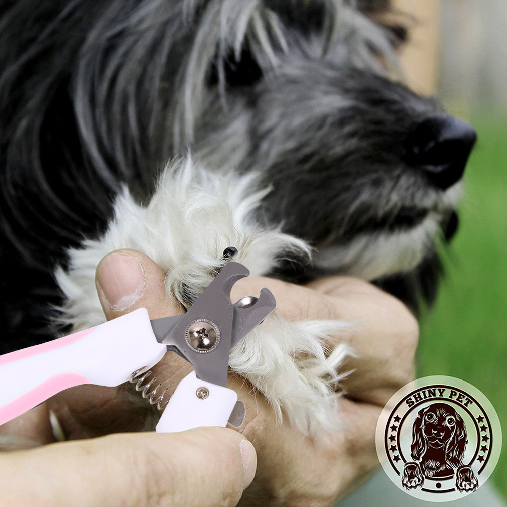 dog nail clippers pets at home