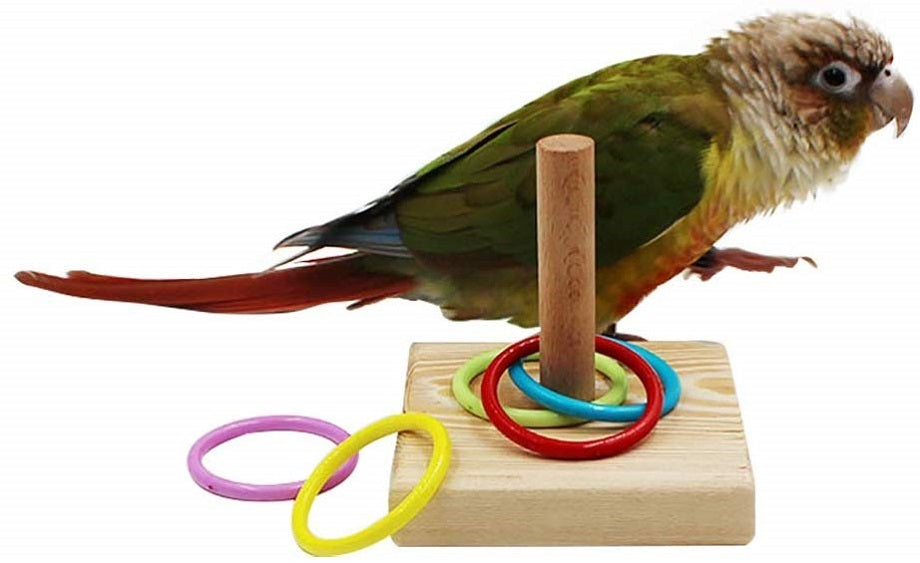 bird toys