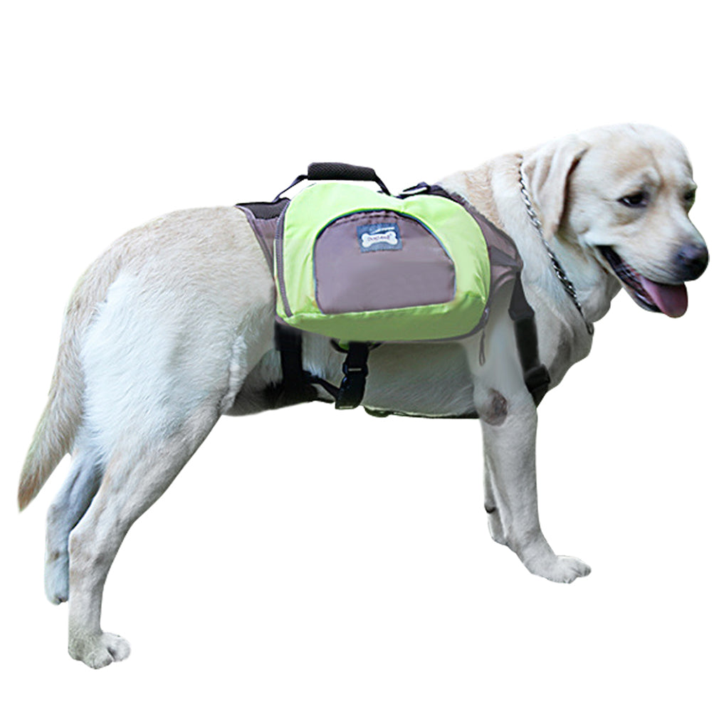 pet dog backpack