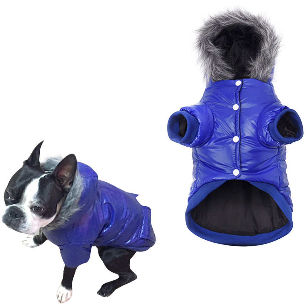 dog coats for winter