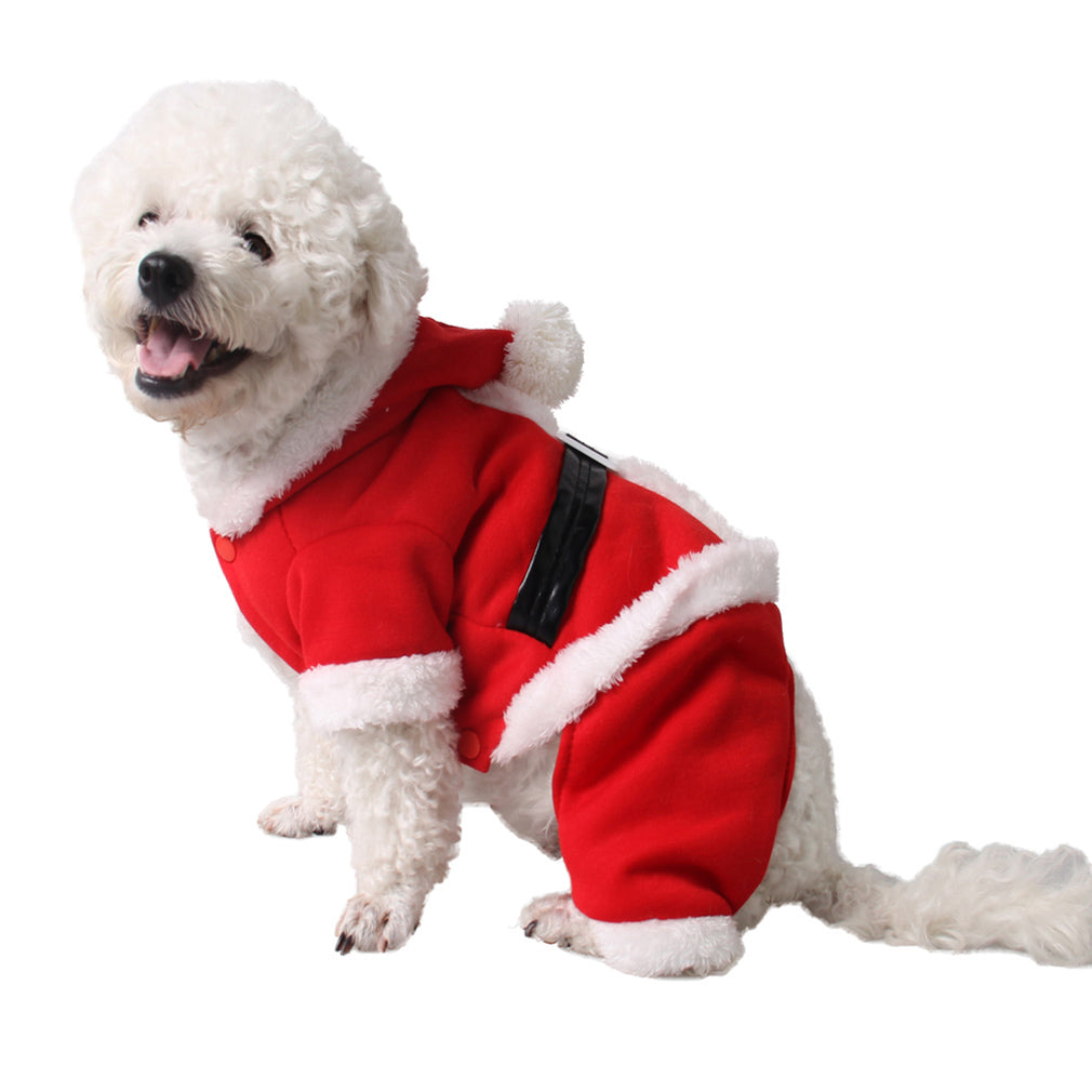 puppy christmas outfit