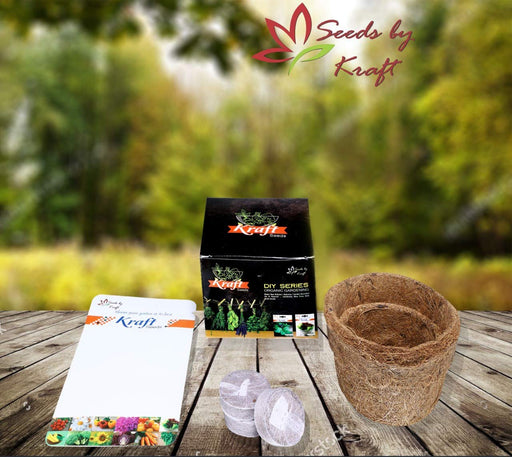 DIY Series Box Of Squash English Vegetable Improved Seeds Organic Pot & Germination Medium Coin