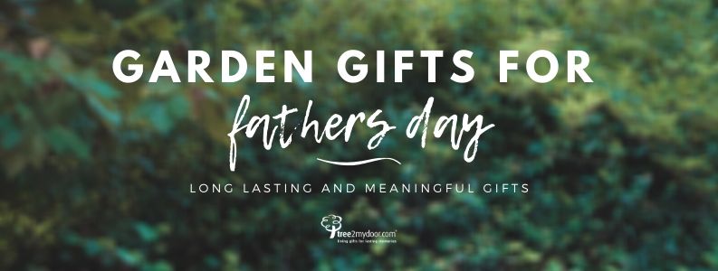 Fathers Day Garden Gifts
