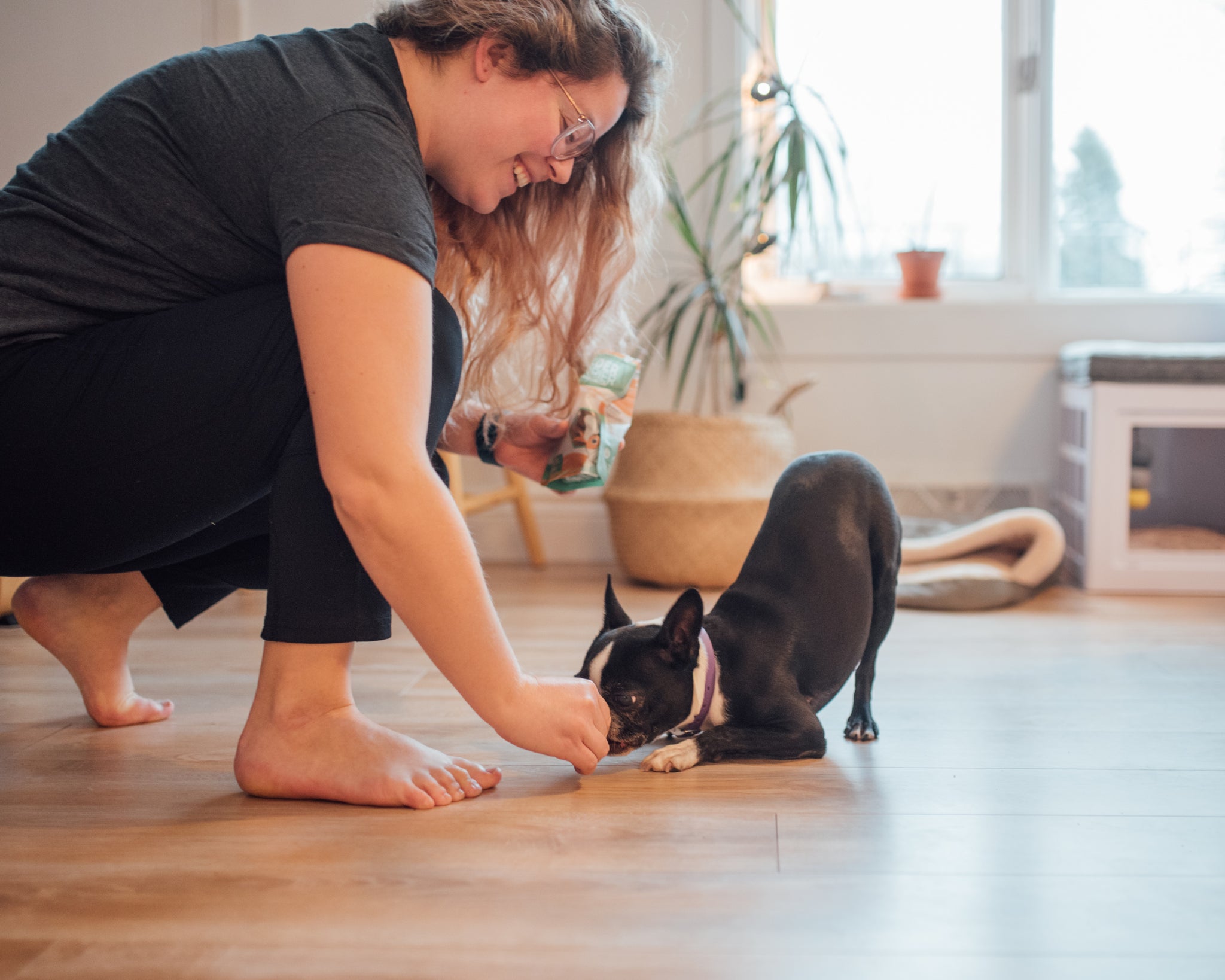 Enseigner une nouvelle commande à son chien durant la quarantaine – Chien Mondain