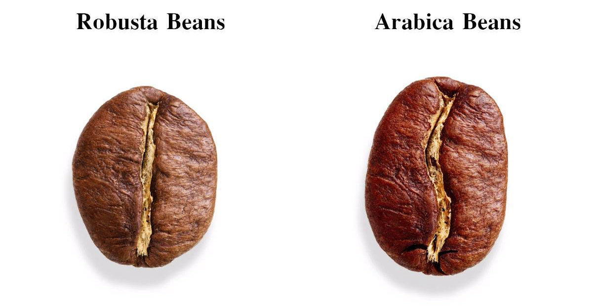 Strong Coffee Australia Beans