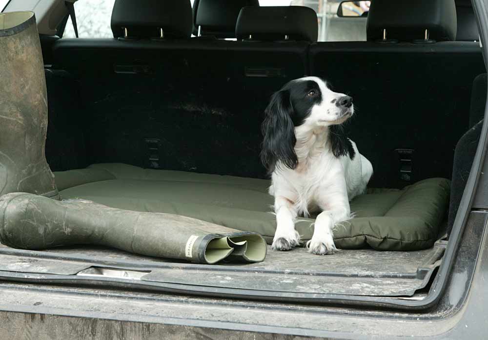 Waterproof dog matress with spaniel