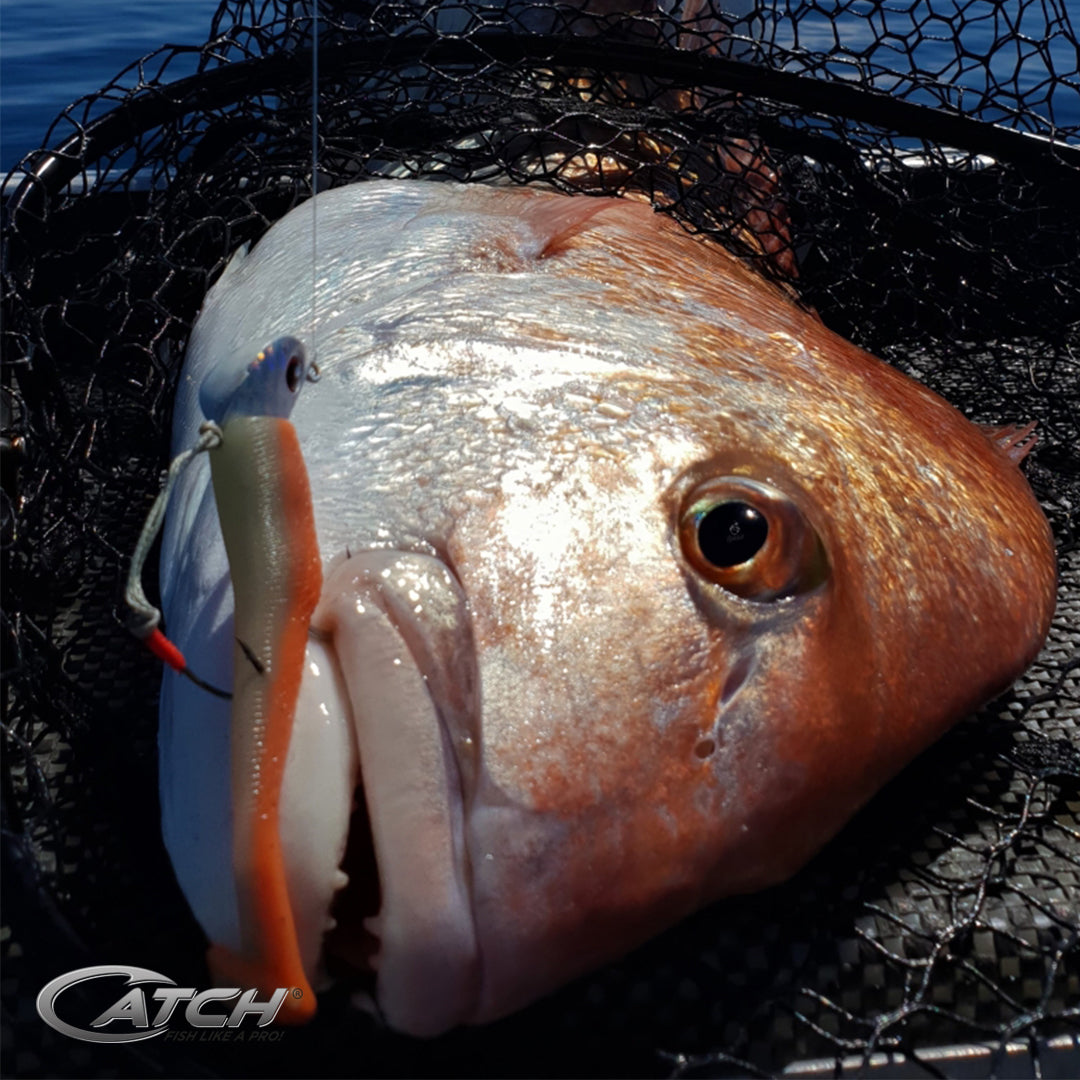 Catch Livies Softbait Pack - Natural Tail Mackerel - LURE ME - Online Fishing Tackle.