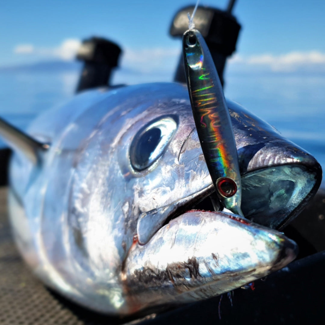 Catch Pocket Rocket Tungsten Micro Jig - Orange Assassin - LURE ME - Online Fishing Tackle.