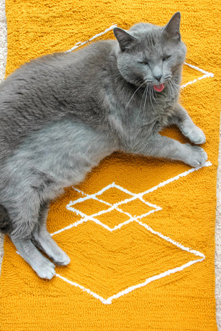 gray cat on a yellow rug tufted by andie solar of myra and jean tuft the world