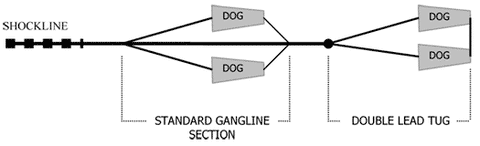 Example of a 4 Dog Gangline Set Up