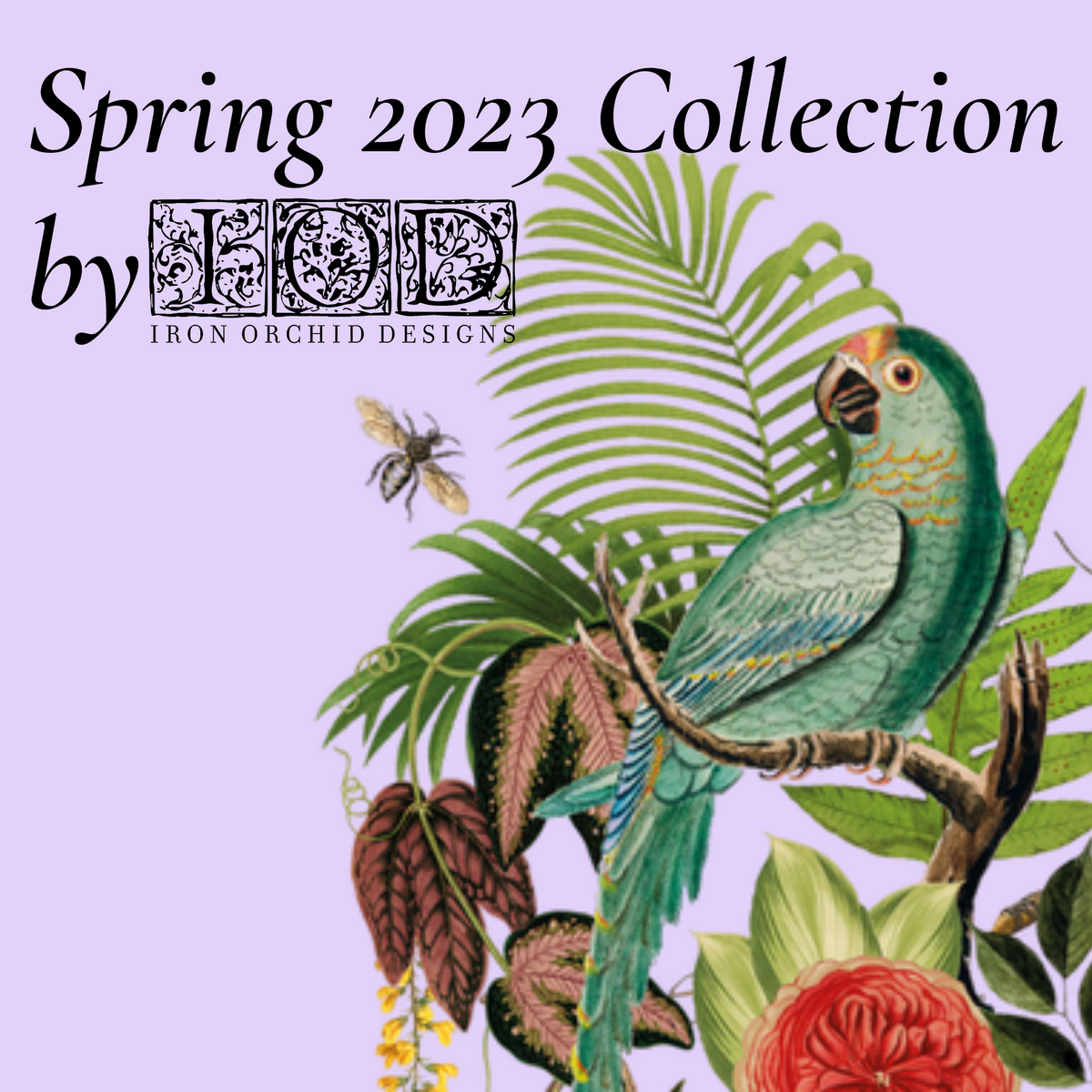 IOD 2023 Spring Release