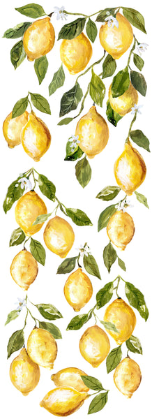 IOD Lemon Drops Transfer by Iron Orchid Designs (12" x 33")