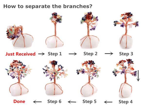 jovivi steps of how to separate the branches, asd0208