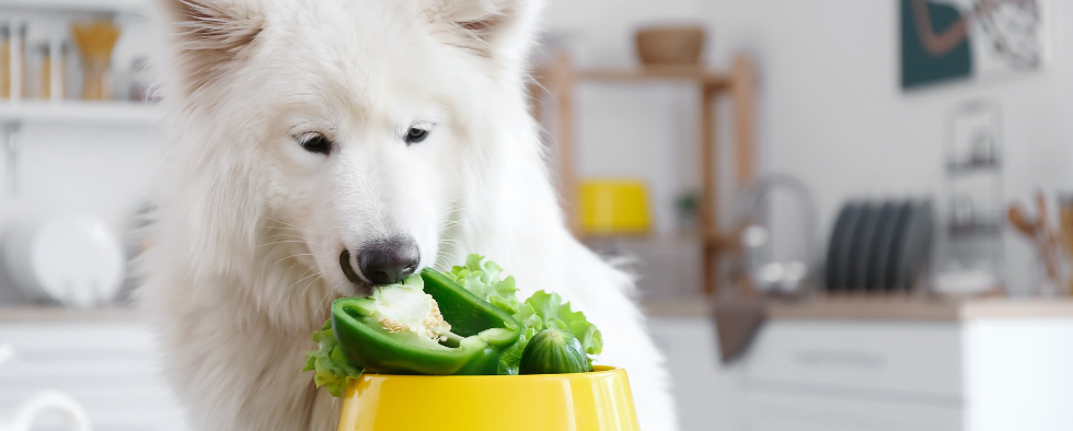 what fruits and vegetables can english bulldogs eat