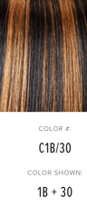 express wig braids color chart for braided wigs