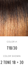 express wig braids color chart for braided wigs