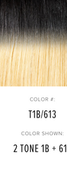 express wig braids color chart for braided wigs