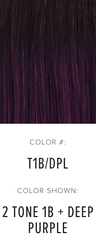 express wig braids color chart for braided wigs