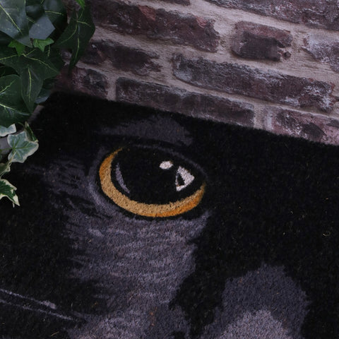 Cat Doormat