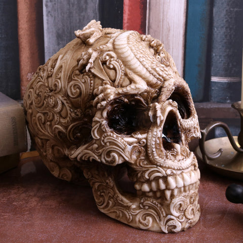 Cranial Drakos Skull