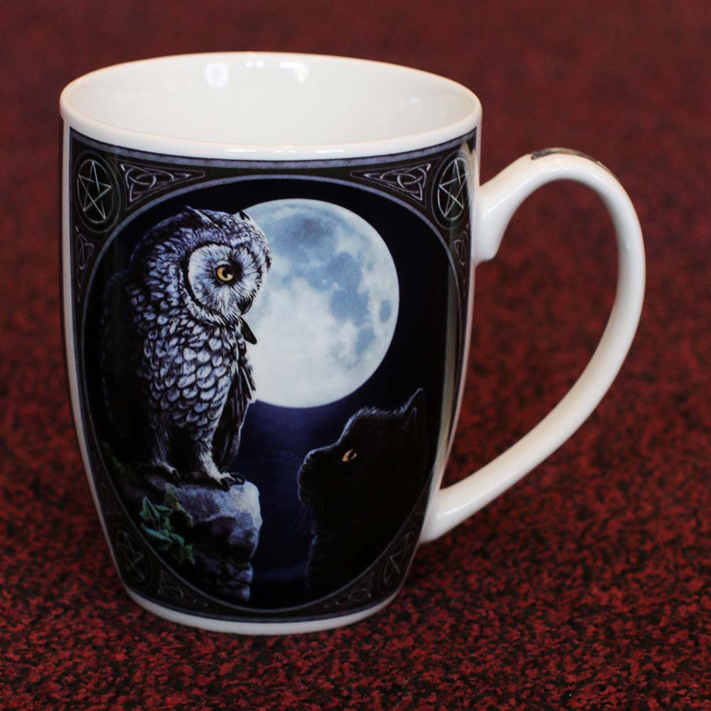 Purrfect Wisdom Owl & Cat Bone China Lisa Parker Mug Gift Boxed 