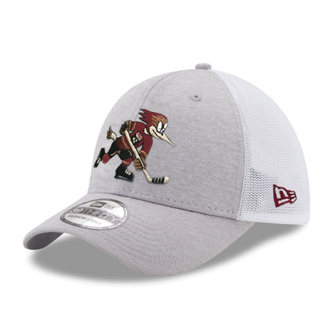 Tucson Roadrunners New Era Official 