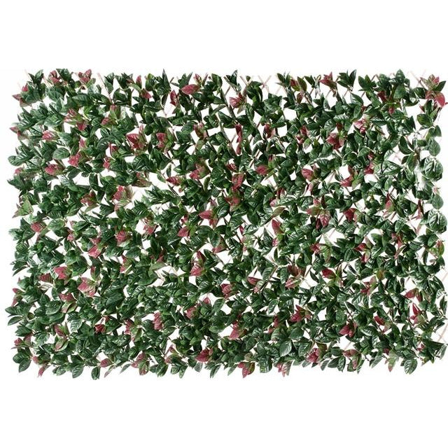 Photinia Hedge Extendable Trellis / Screen 2 Meter By 1 Meter UV Stabilised