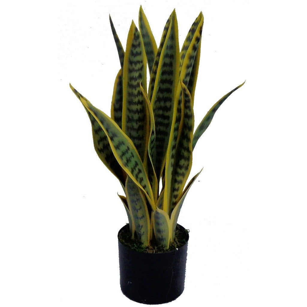 UV Artificial (Faux) Mother In Law Tongue / Yellow Tongue 58cm 7 Stems