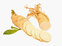 Ginseng