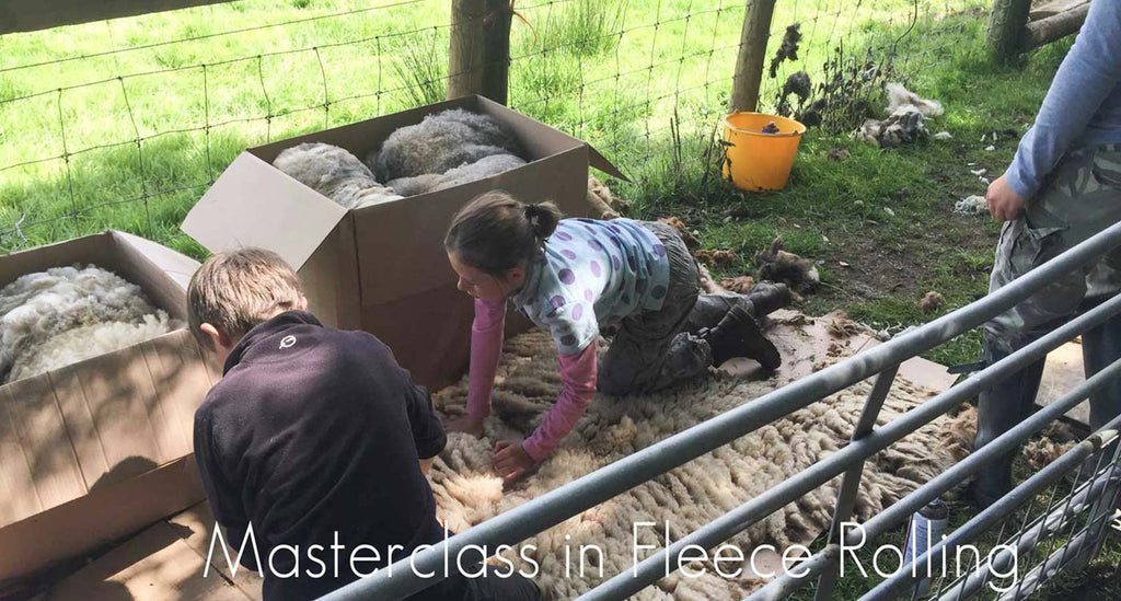 Masterclass in sheep shearing