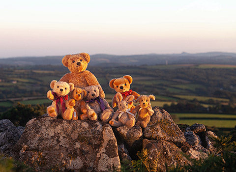 Merrythought Teddy Bears handmade in England from The Wool Company