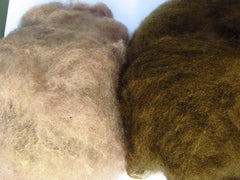 O. olivascens without mordant on left and with iron mordant on right
