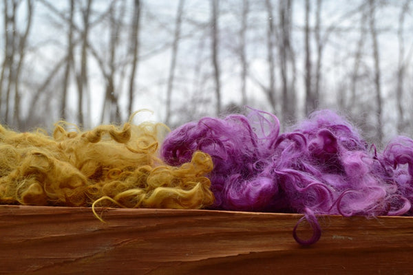 Phaeolus schweinitzii with alum, and Umbilicaria mammulata on mohair locks