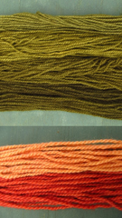 Cortinarius semisanguineus on alum mordanted wool: first and second dye-baths; Phaeolus schweinitzii on iron mordanted wool: first and following dye-baths