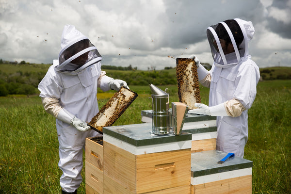 New Zealand Beekeeping