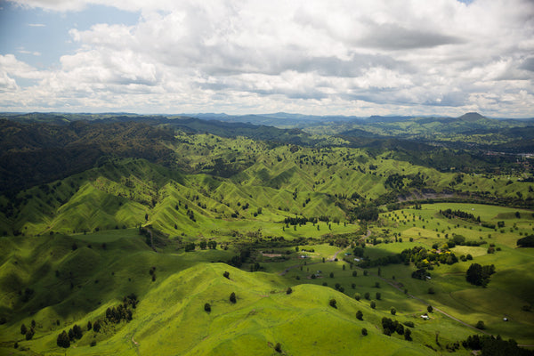 New Zealand