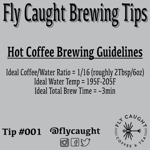 Brewing Hot Fly Caught Coffee
