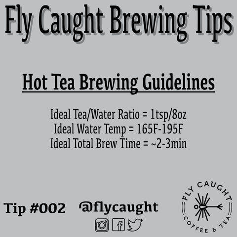 Brewing Hot Fly Caught Tea
