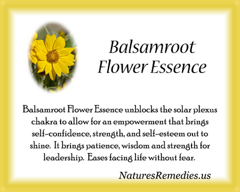 Balsamroot Flower Essence - Nature's Remedies