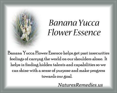 Banana Yucca Flower Essence - Nature's Remedies