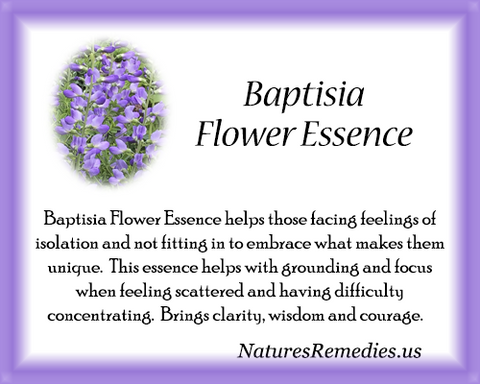 Baptisia Flower Essence - Nature's Remedies