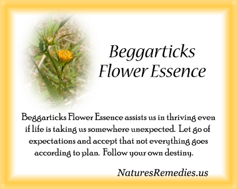 Beggarticks Flower Essence - Nature's Remedies