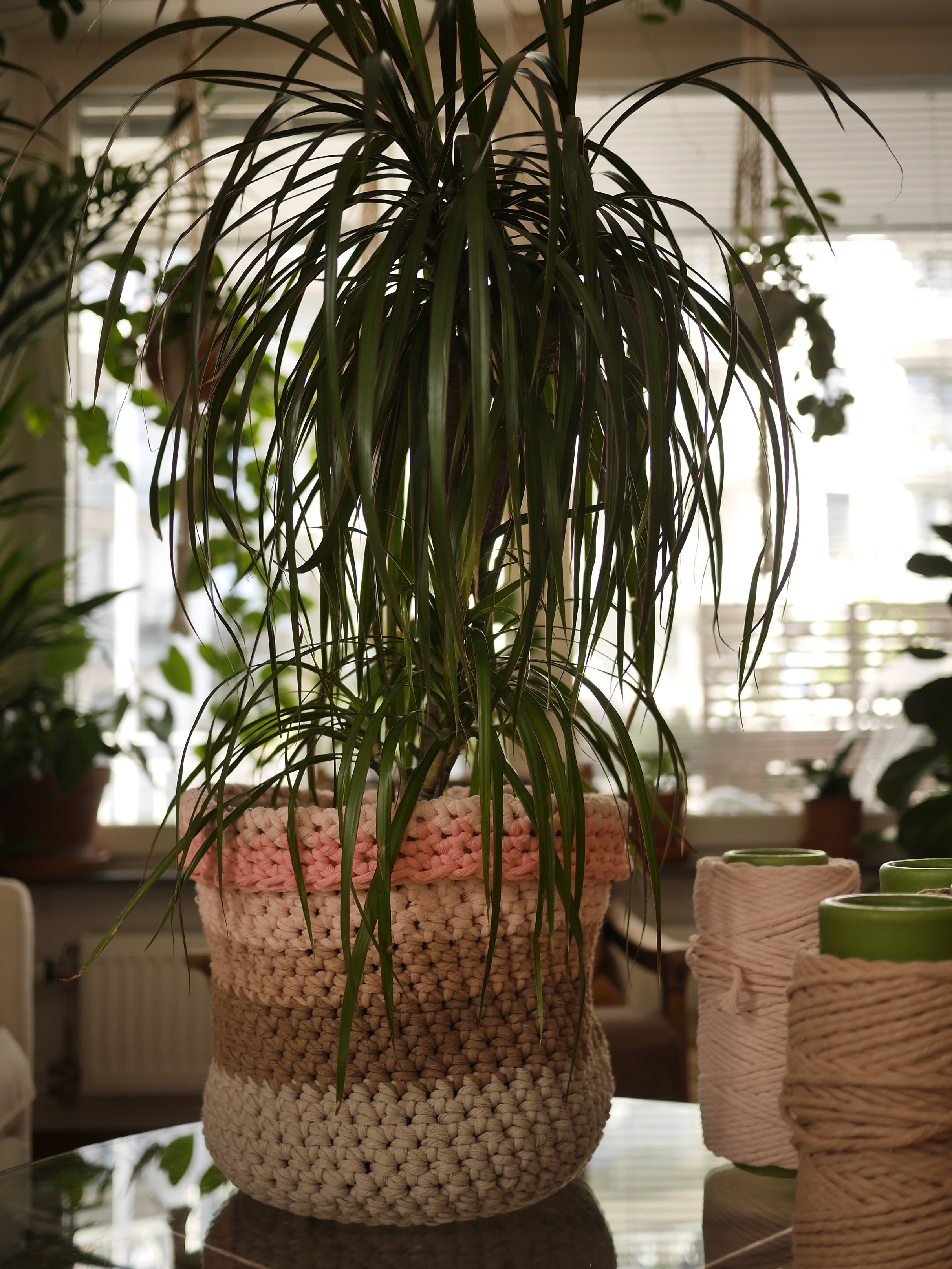 Make a crochet basket and put a plant in it! Just make sure you don't water onto the cotton ;)